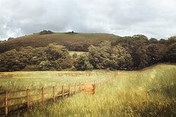 imgi_120_250px-Rural_dorset_scene_-_Flickr_-_Steve_Slater_(used_to_be_Wildlife_Encounters).jpg